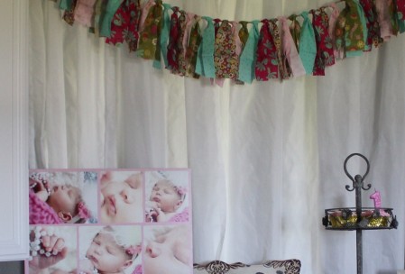 I love this banner that I made out of fabric.  So pretty.  I used some of Maggie's pics for decor.  It was cute to see how she changed over the year.